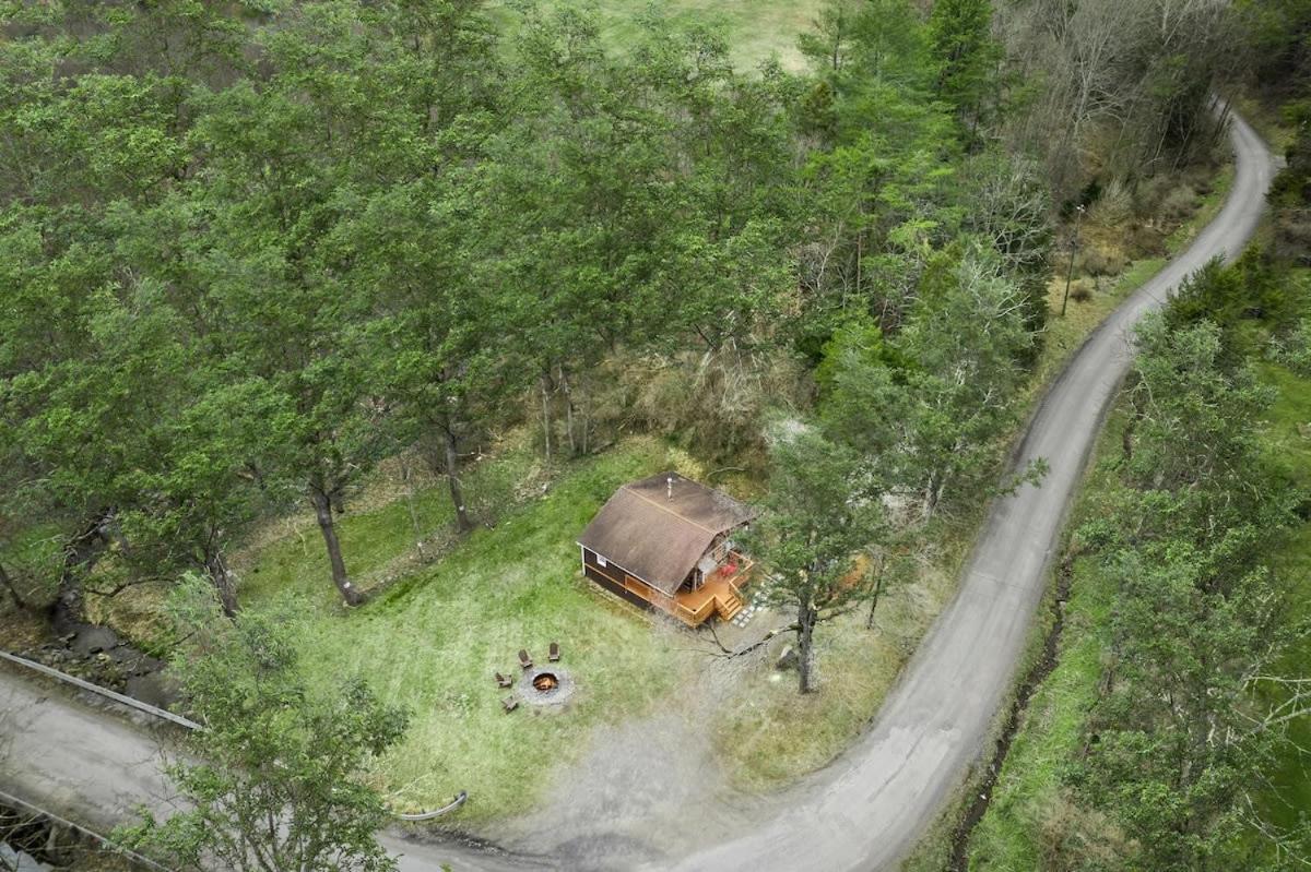 Creekside Cabin W Hot Tub, Fire Pit, Grill, Wifi! Basye Экстерьер фото